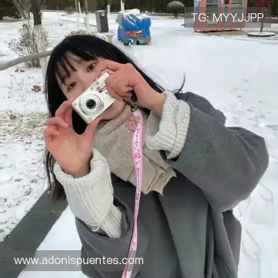 沈辉 沈辉